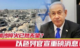 以色列最新官员爆料,揭秘中东局势新动态