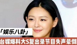 台媒爆料大s最新动态,台媒揭秘其最新动态