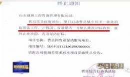 山东爆料最新新闻事件,惊曝重大事件引发社会关注
