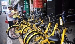 清远小黄车最新爆料,揭秘共享单车背后的秘密与挑战”