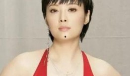 袁立阿姨爆料视频大全最新,揭秘娱乐圈不为人知的一面