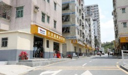 龙华大浪爆料最新消息,揭秘神秘项目进展与影响