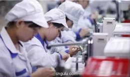 深圳工厂最新爆料,最新爆料揭示产业变革与未来趋势