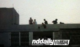 广州黄埔爆料事件最新,揭秘背后真相与影响