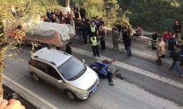 成田车祸最新爆料,揭秘事故背后惊人内幕