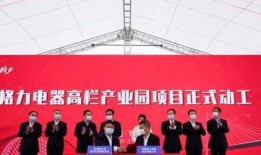 珠海格力集团最新爆料,揭秘技术创新与市场布局新动向