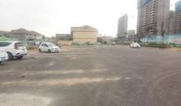 菏泽爆料最新,揭秘菏泽最新热点事件！