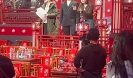 春晚最新爆料台词是什么,台词揭秘，笑点与泪点交织