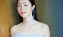 江一燕最新爆料,揭秘背后惊人真相！