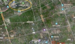 唐山爆料者现状分析最新,勇敢揭露真相，面临困境与挑战