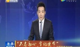 向佐最新爆料新闻联播,新闻联播背后的故事