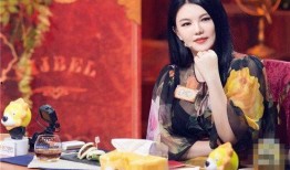 明星爆料解说大全最新,明星爆料解说大全最新盘点