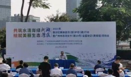 黄阁镇最新爆料新闻,揭秘最新事件背后的真相