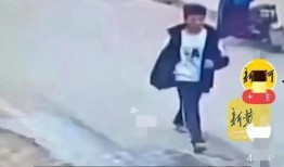 邯郸事件最新爆料信息,惊人内幕曝光，真相令人震惊！