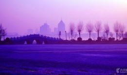 省二南湖最新爆料,最新爆料揭示神秘面纱下的美丽风光”