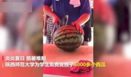 新瓜最新爆料陈老师视频,新瓜爆料背后的真相揭秘