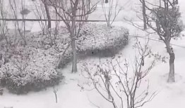 爆料新闻宿迁最新消息,揭秘城市动态与民生焦点