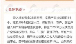 邹平事件爆料最新消息,揭秘真相与后续影响