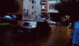 爆料广州暴雨最新消息视频,城市应对极端天气挑战纪实